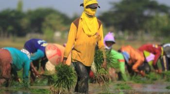 BPS : Ekonomi Lampung Terendah Keempat  Nasional, Sudahkah Lampung Berjaya?